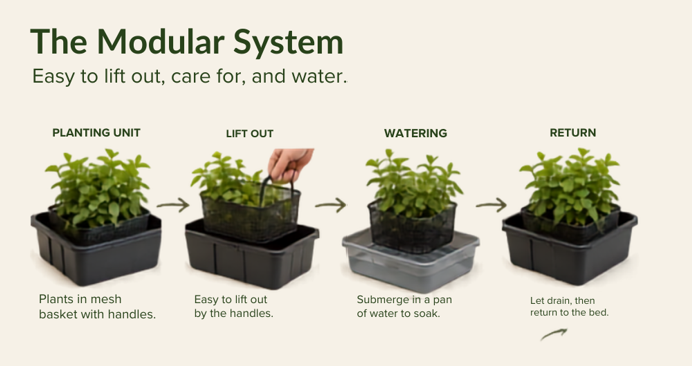 The modular sensory garden system showing the planting unit, lift out, watering and return sequence